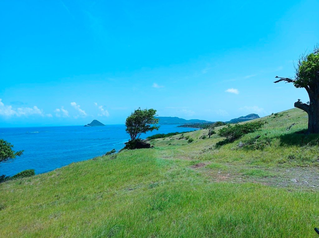 139 acres of land for sale in Saint Lucia