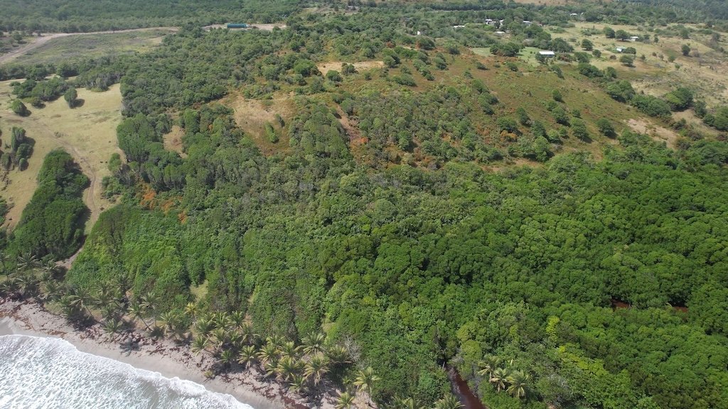71 acres of beachfront land for sale - Honeymoon Beach