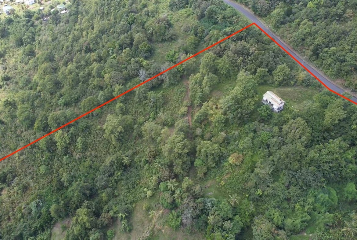 Large Land Lot for Sale in Vieux Fort 2