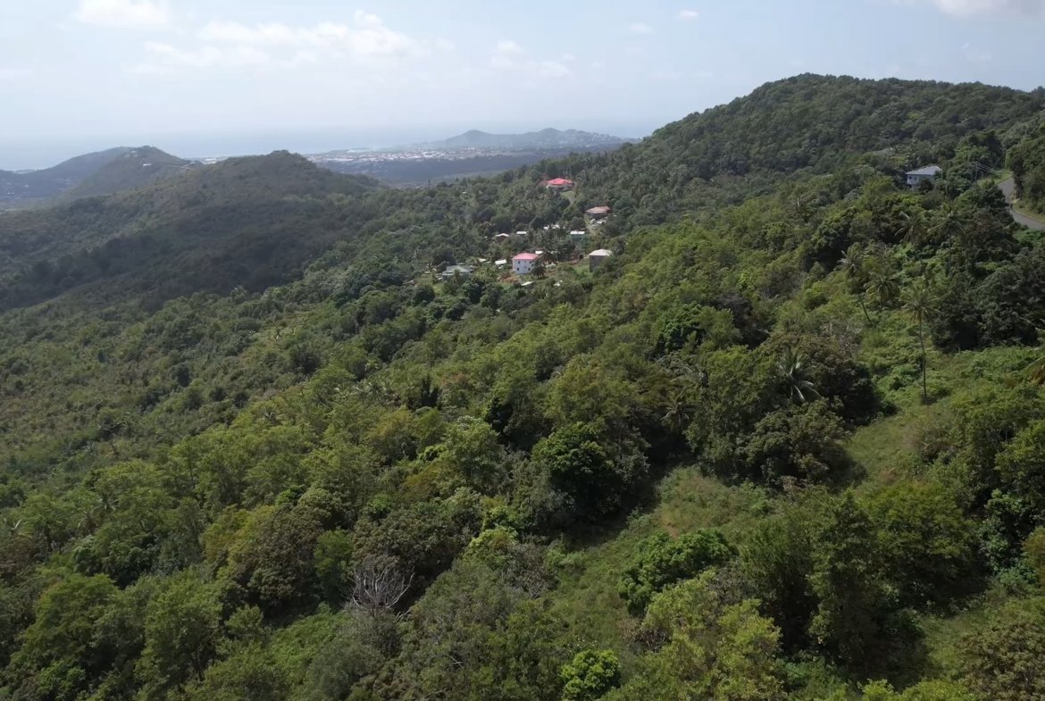Large Land Lot for Sale in Vieux Fort 4