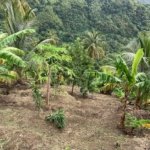 Property for sale in Soufriere - Saint Lucia