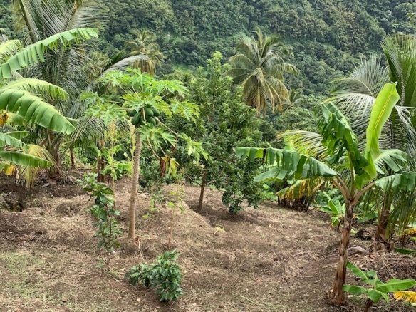 Property for sale in Soufriere - Saint Lucia