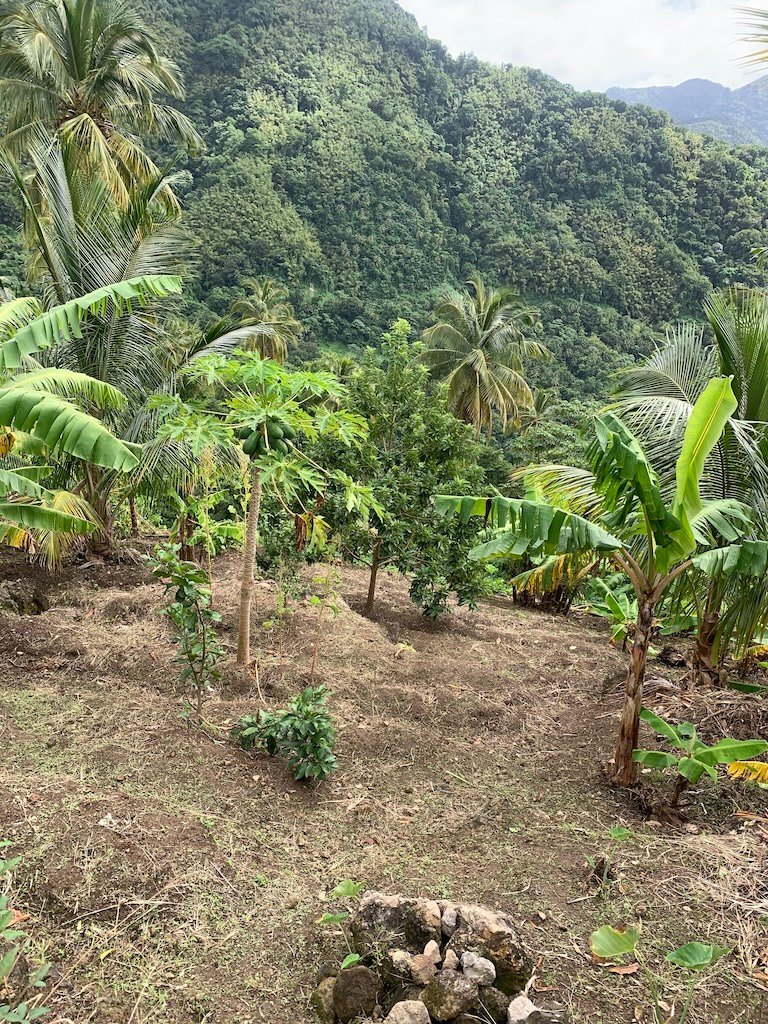 Property for sale in Soufriere - Saint Lucia