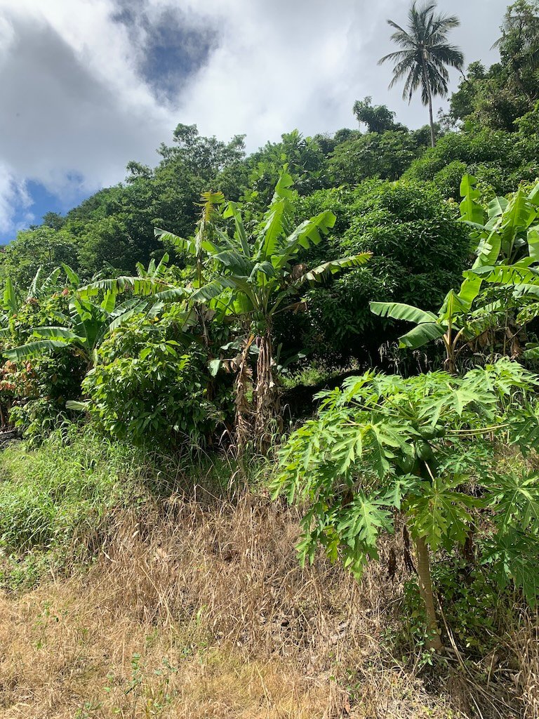 Soufriere Land for Sale