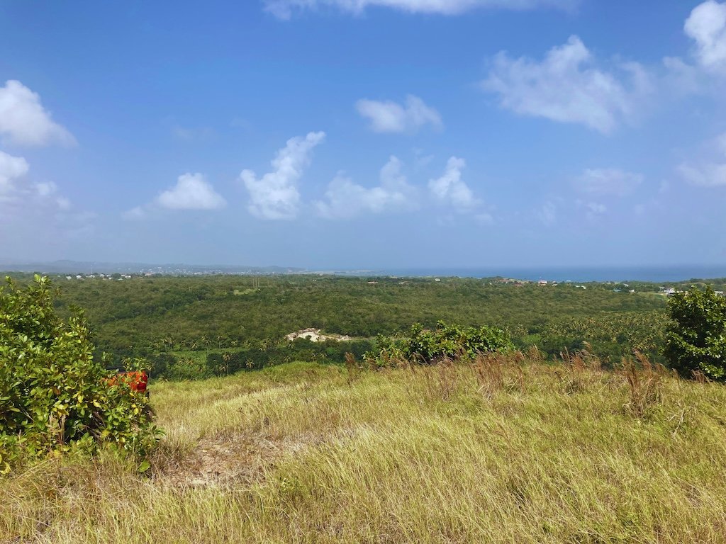 472.7 Acres of Land for Sale in Micoud