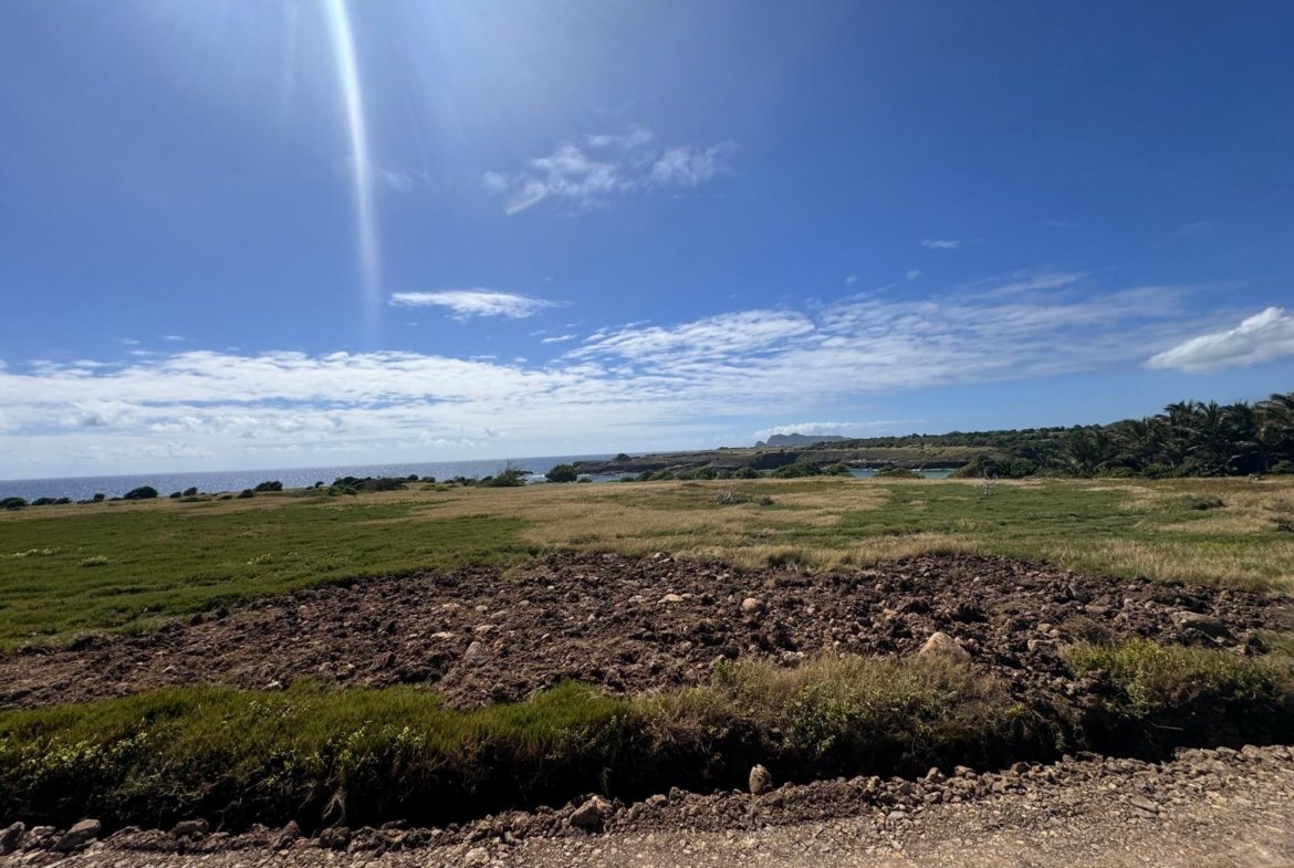 Canelles Lot for Sale in Micoud 2